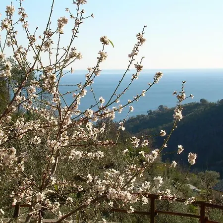 Ariabuona Apartment Moneglia