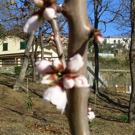 Ariabuona Moneglia