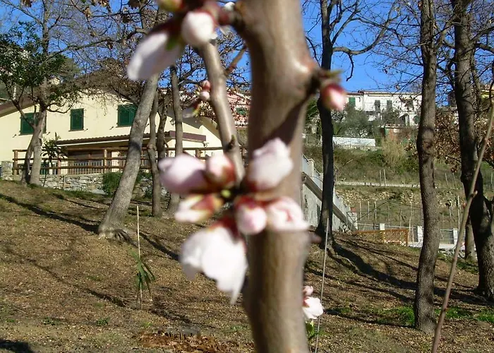 Ariabuona Moneglia
