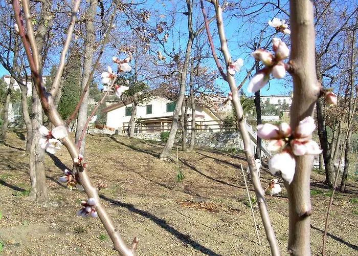 Ariabuona Moneglia