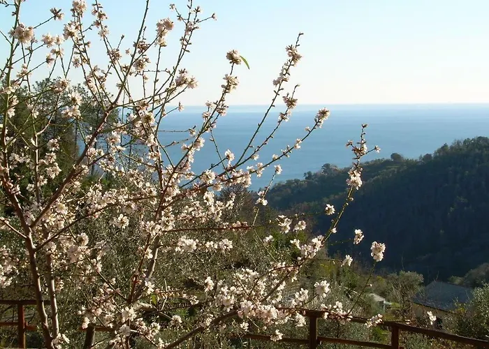 Ariabuona Apartman Moneglia