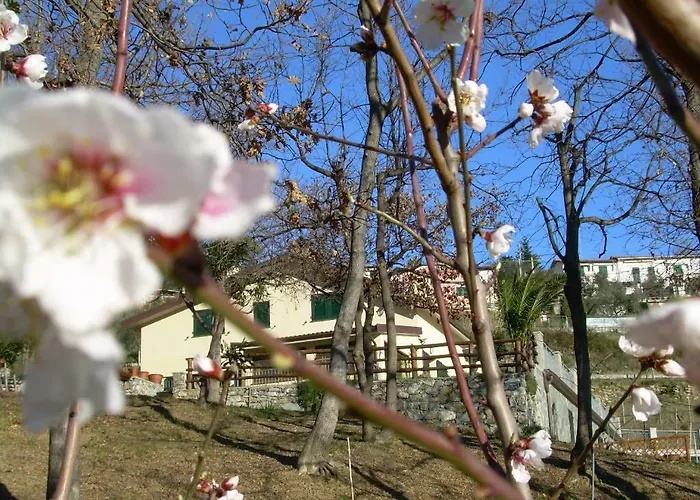 Ariabuona Appartement *